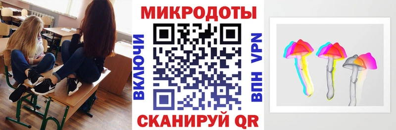 как найти   Тара  гидра   Галлюциногенные грибы Cubensis 