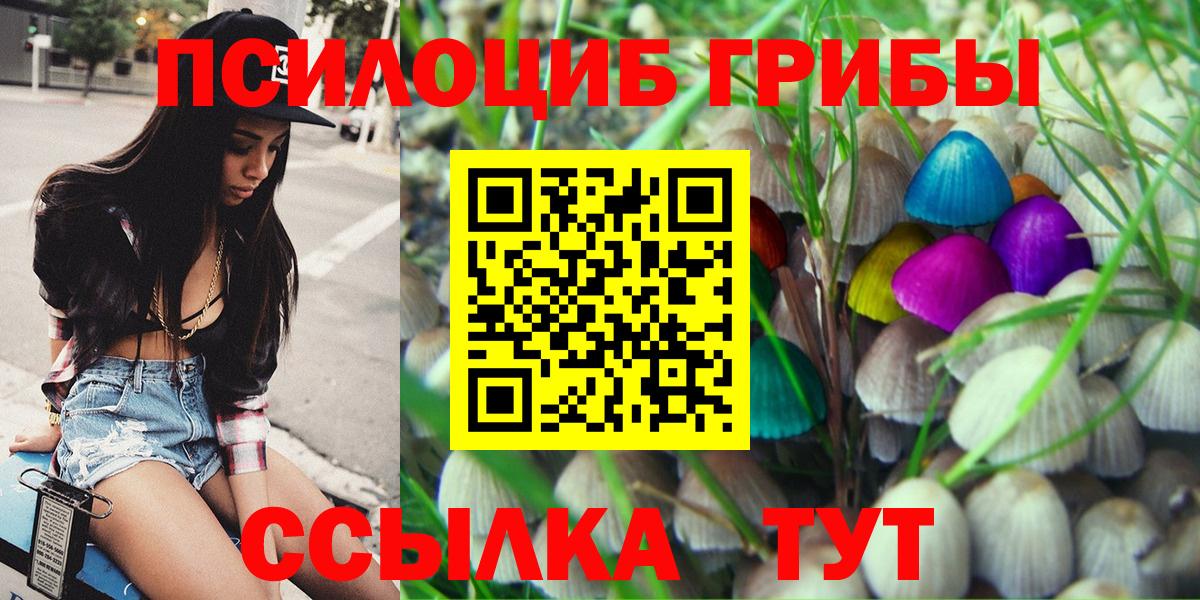 Псилоцибиновые грибы мицелий Тара